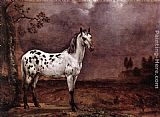 Paulus Potter The Spotted Horse painting